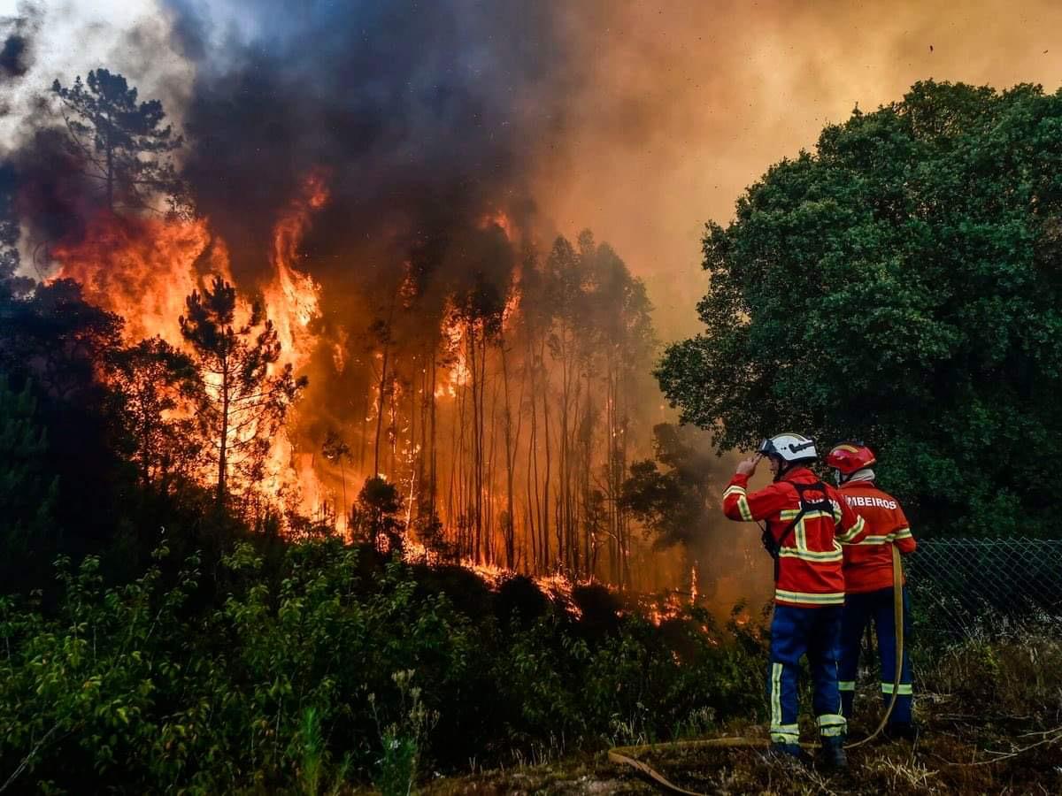 pompiers portugal 3